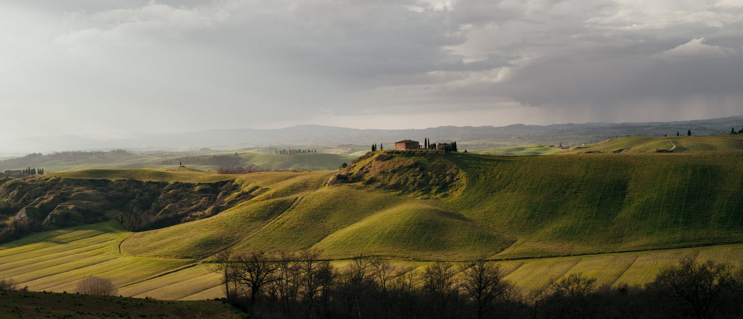 Michelle´s Favorites