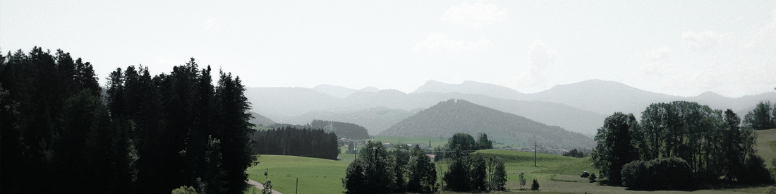 Project Horizon // Lukas Rathgeber - RYZON