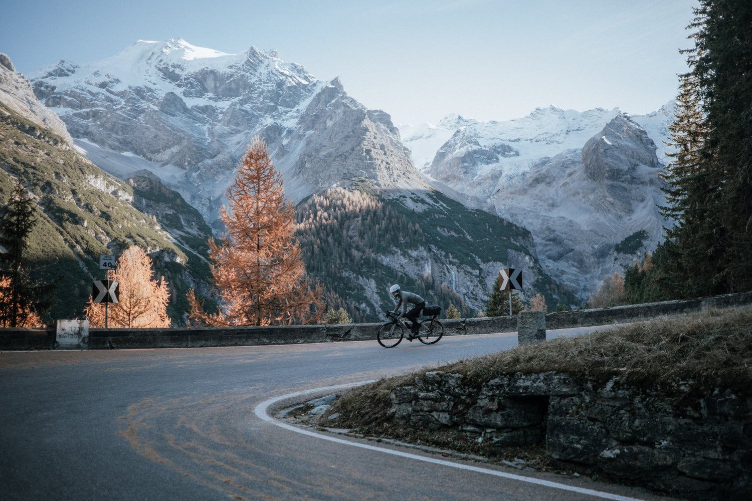 Melissa & Jonas Favorites