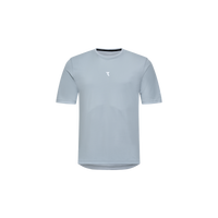 Iced Grey