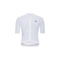 Arctic White