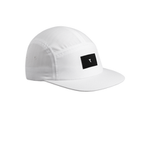 Arctic White